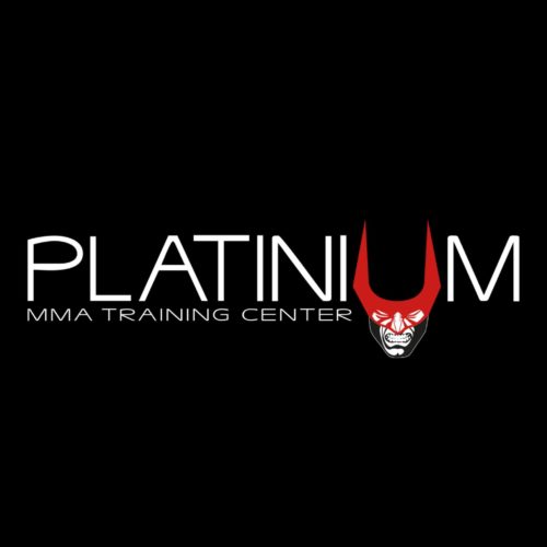 Platinium Hybrid Training Centre